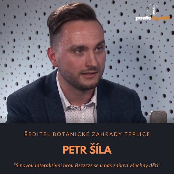 Ponte reports